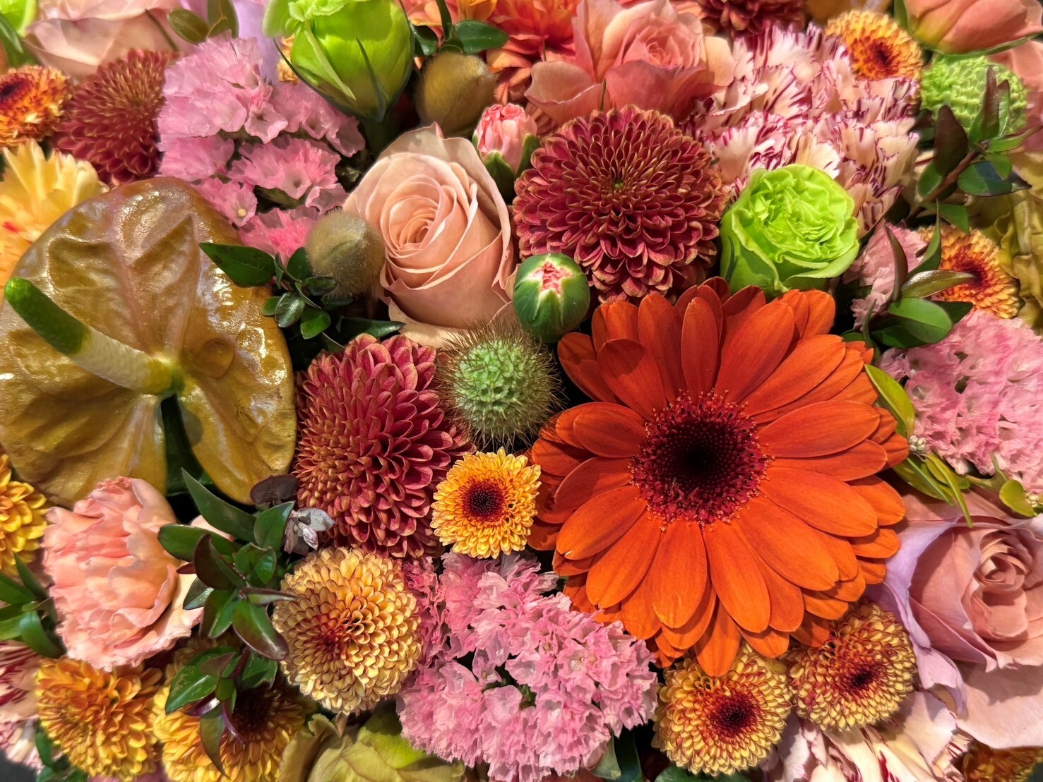 小川眼科,聖蹟桜ケ丘,視野検査,白内障,緑内障